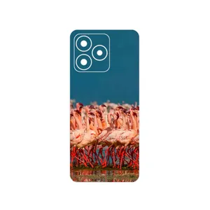 MAHOOT Flamingo Cover Sticker for Realme C53