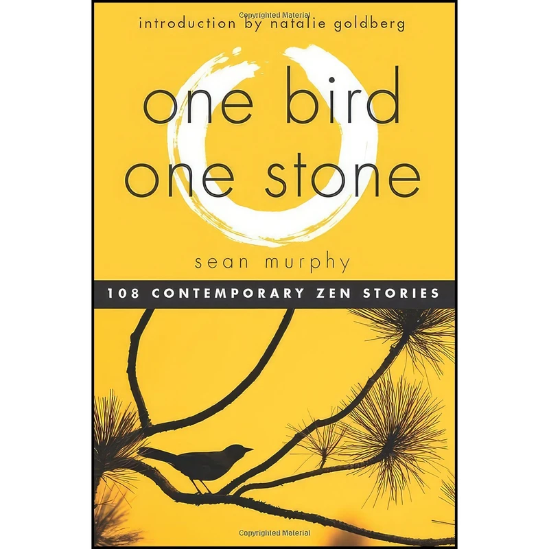 کتاب One Bird, One Stone اثر Sean Murphy and Natalie Goldberg انتشارات Hampton Roads Publishing