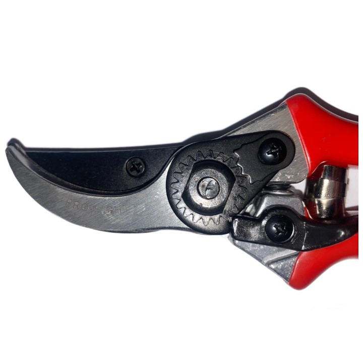 قیچی باغبانی پرولایت مدل jh729a