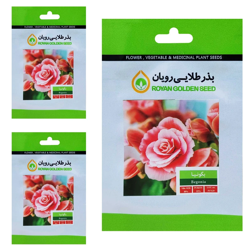 بذر گل بگونیا بذر طلایی رویان کد BZT-159 مجموعه 3 عددی 