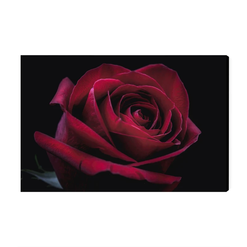 تابلو شاسی عرش مدل گل رز کد As1794