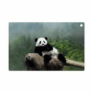MAHOOT Panda Cover Sticker for Sony Xperia Tablet Z LTE 2013