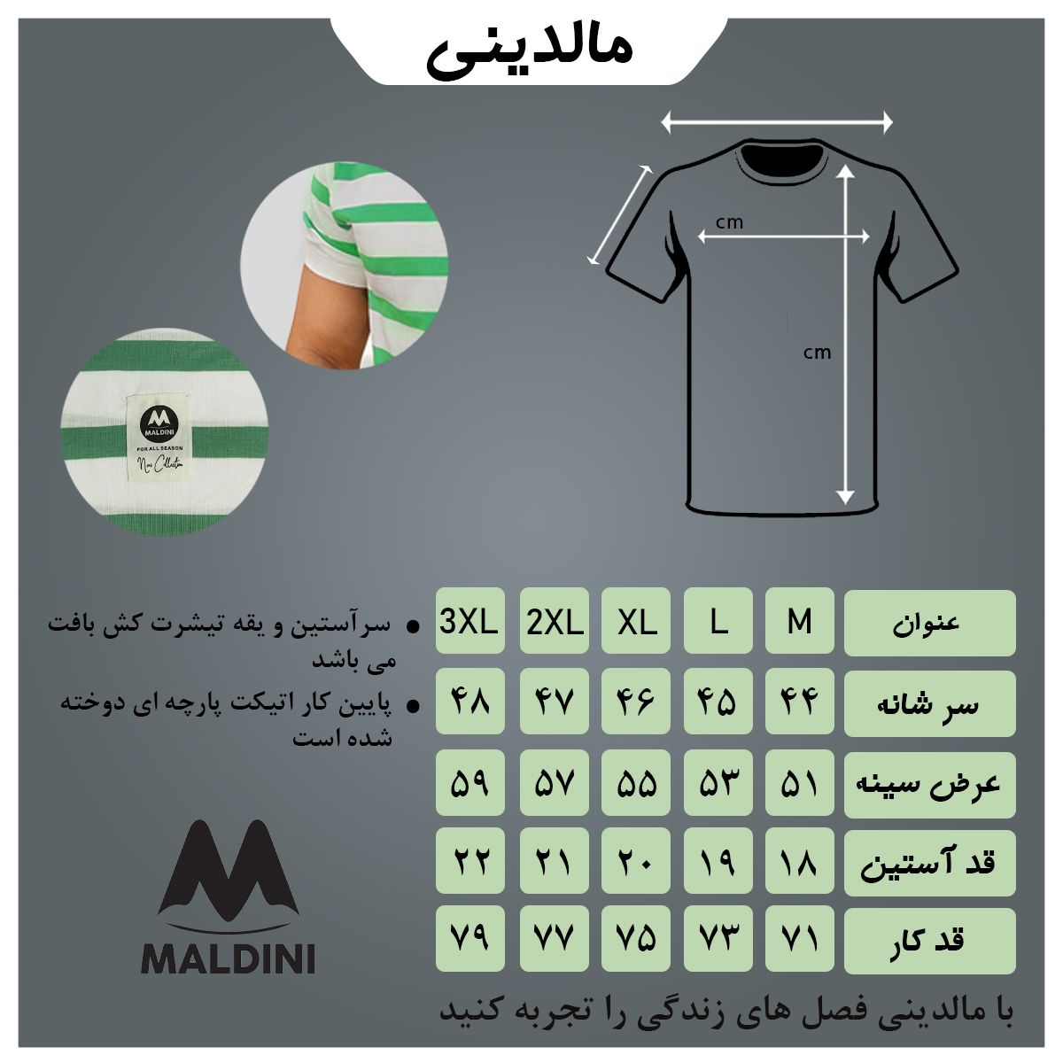 تی شرت آستین کوتاه مردانه مالدینی مدل 429 -  - 5