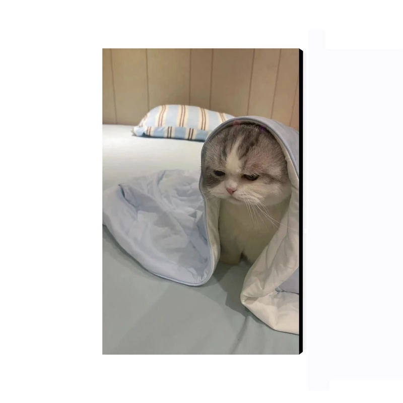 تابلو شاسی عرش مدل فانتزی گربه کد As5419