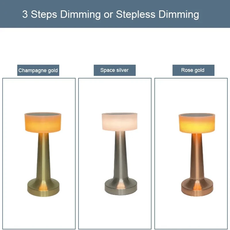 عکس شماره 10 : آباژور رومیزی مدل شارژی dvi21