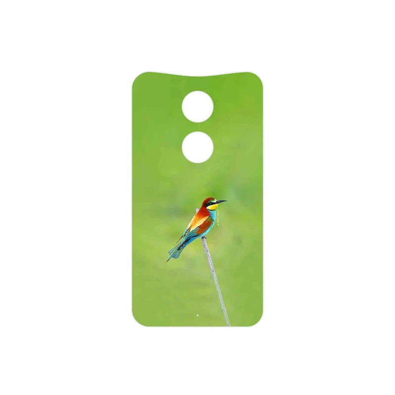 برچسب پوششی ماهوت مدل European bee-eater مناسب برای گوشی موبایل موتورولا Moto X 2014