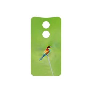 MAHOOT European bee-eater Cover Sticker for Motorola Moto X 2014
