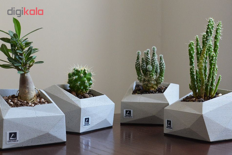 گلدان استودیو اشل کد E11