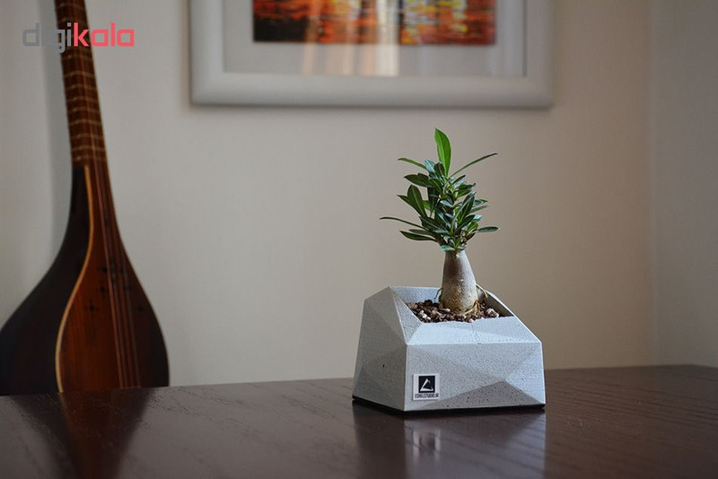 گلدان استودیو اشل کد E11