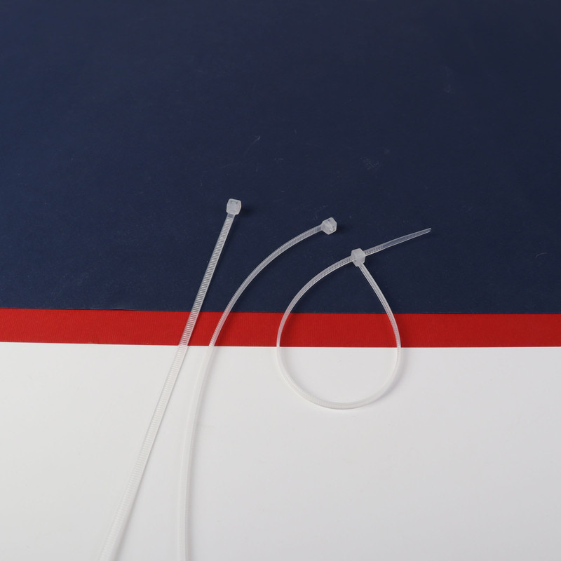 بست کمربندی بروکس مدل BIG9513 کد 25cm بسته 100 عددی بست کمربندی بروکس مدل BIG9513 کد 25cm بسته 100 عددی