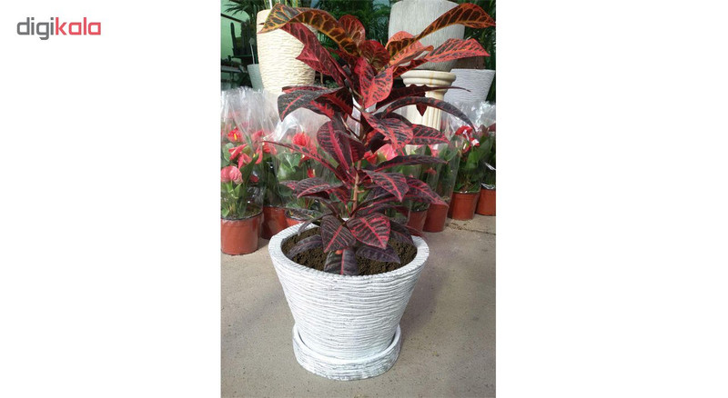 گلدان مدل SP175