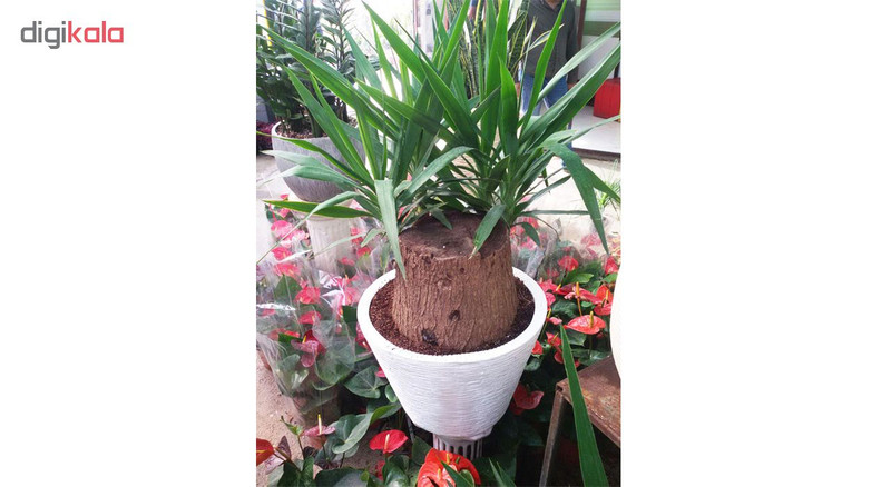 گلدان مدل SP175