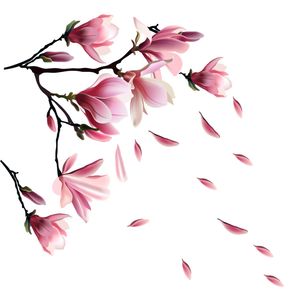 نقد و بررسی استیکر ژیوار طرح گلهای مگنولیا توسط خریداران