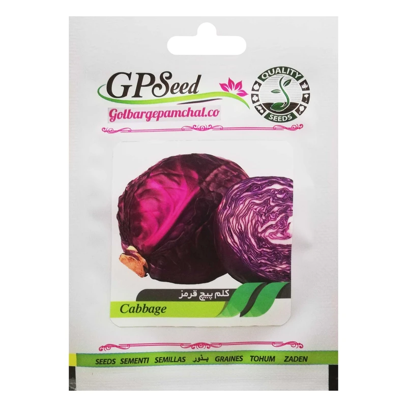 بذر کلم پیچ قرمز گلبرگ پامچال کد GPF-127
