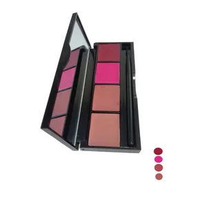 رژ لب پالتی پاستل مدل Pro Fashion شماره 04