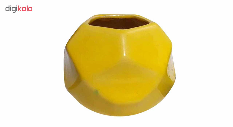 گلدان مدل زنبوری کد 10002