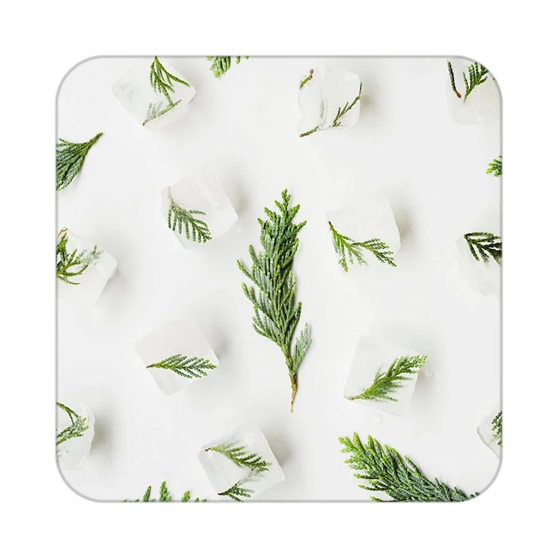 زیر لیوانی کاکتی طرح گل مدل mp16994