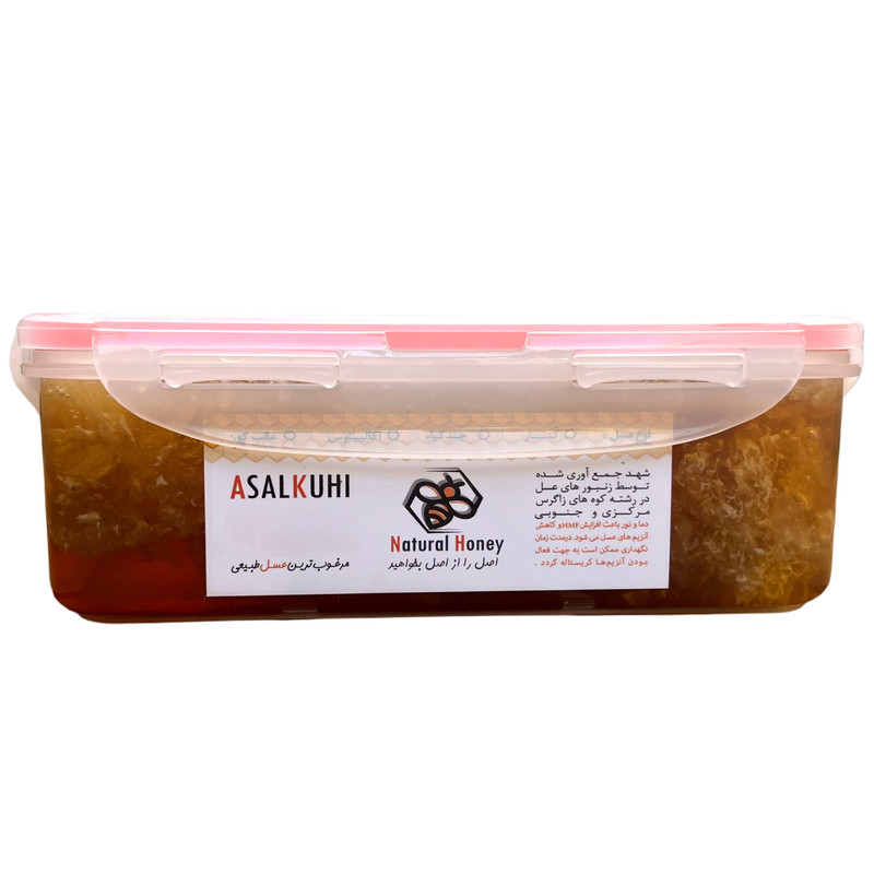 عسل وحشی - 1400 گرم