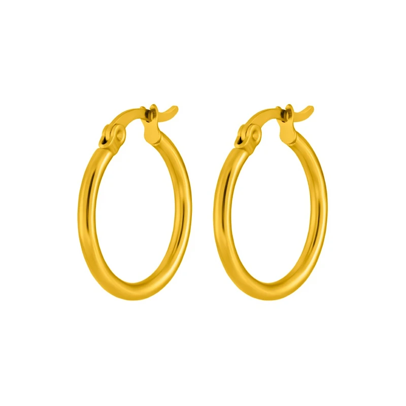 گوشواره حلقه‌ای زنانه اقلیمه مدل ES1973