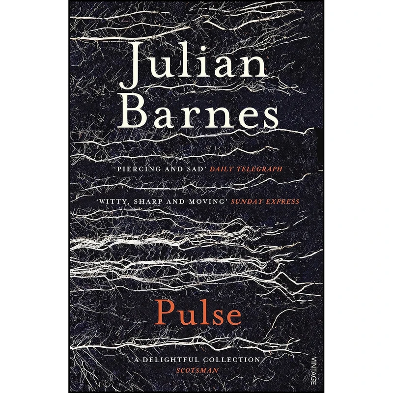 کتاب Pulse اثر Julian Barnes انتشارات Vintage Books
