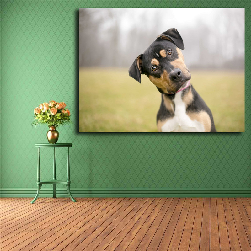 تابلو شاسی مدل سگ کد 1