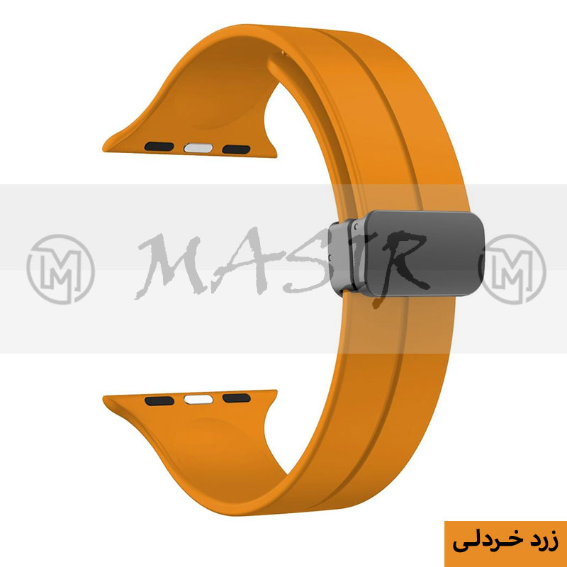 بند مسیر مدل Bracelet Correa Magnetic مناسب برای اپل واچ سری 1/2/3/4/5/6/7/8/9/SE سایز 38/40/41 میلی متری