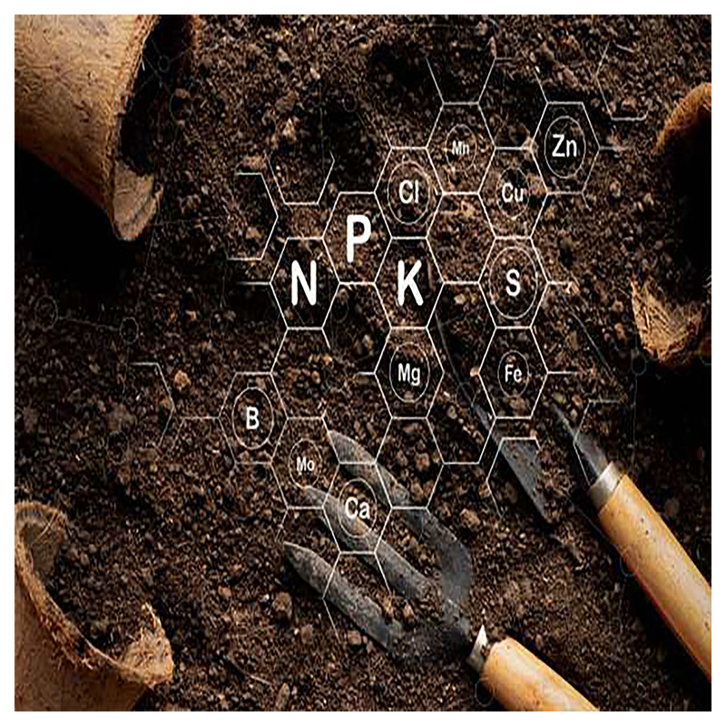 کود کامل سه بیست NPK 20-20-20 گرین ورد مدل پودری وزن 1 کیلوگرم کود کامل سه بیست NPK 20-20-20 گرین ورد مدل پودری وزن 1 کیلوگرم