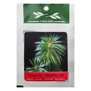 بذر نخل ماداگاسکار وانیا سید مدل V31