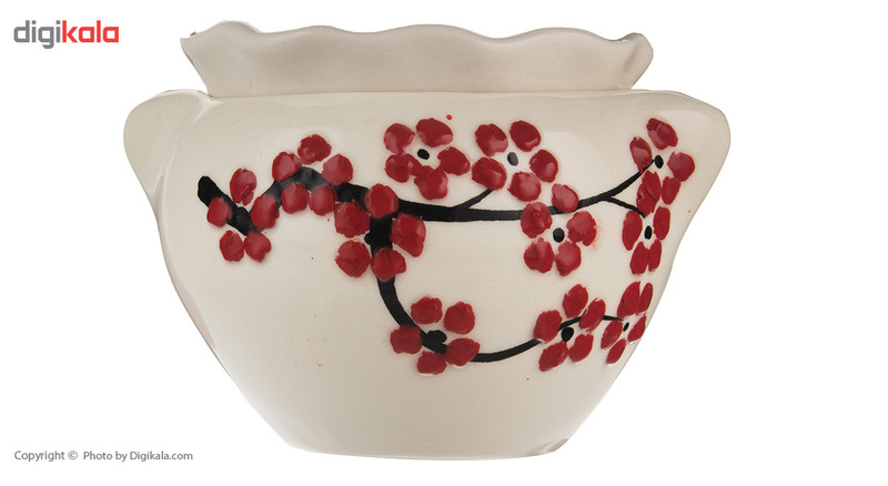 گلدان خودآبیار مخصوص بنفشه آفریقایی طرح گل ریز قرمز