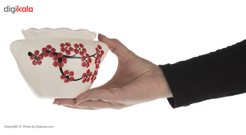 گلدان خودآبیار مخصوص بنفشه آفریقایی طرح گل ریز قرمز