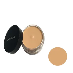 کرم پودر آریکو مدل cover foundation شماره 01