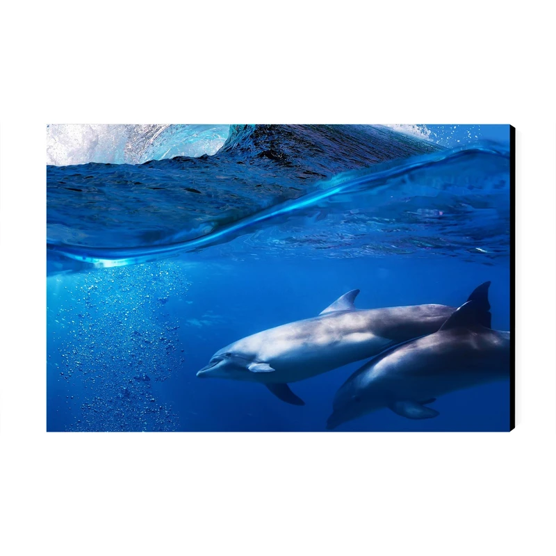 تابلو شاسی عرش مدل فانتزی دلفین کد As3061