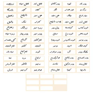 برچسب مدل نظم دهنده ادویه آشپزخانه طرح SM13*mrtk کد 019 مجموعه 80 عددی