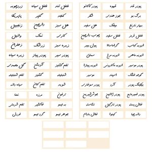 برچسب مدل نظم دهنده ادویه آشپزخانه طرح SM13*mrtk کد 019 مجموعه 80 عددی
