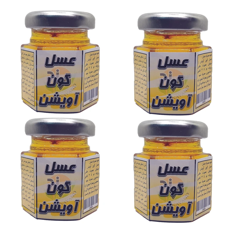عسل گون آویشن نوند - 60 گرم بسته 4 عددی