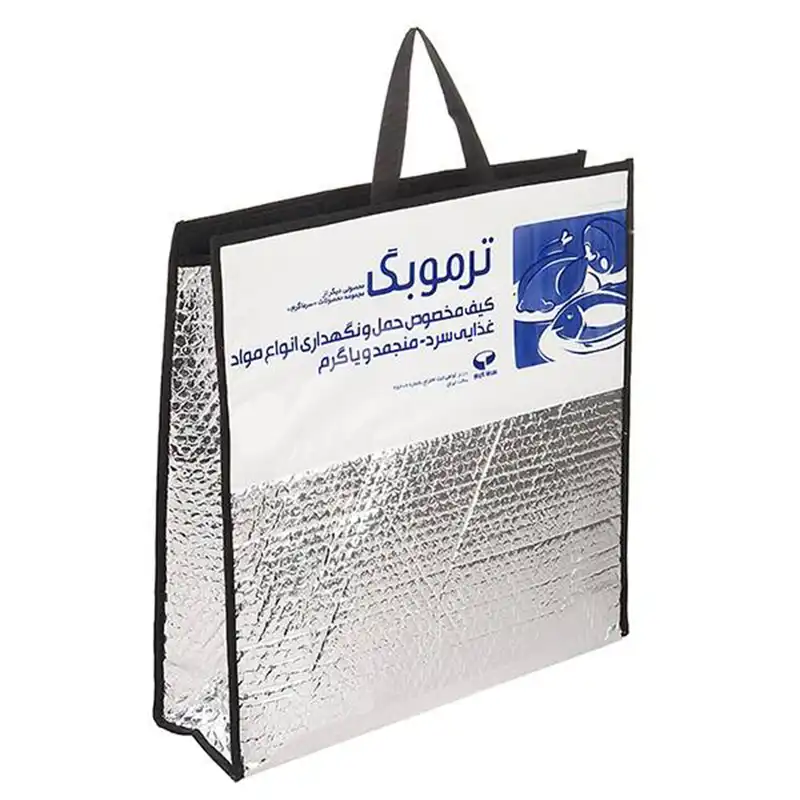 ساک خنک نگهدارنده سرماگرم مدل ترموبگ