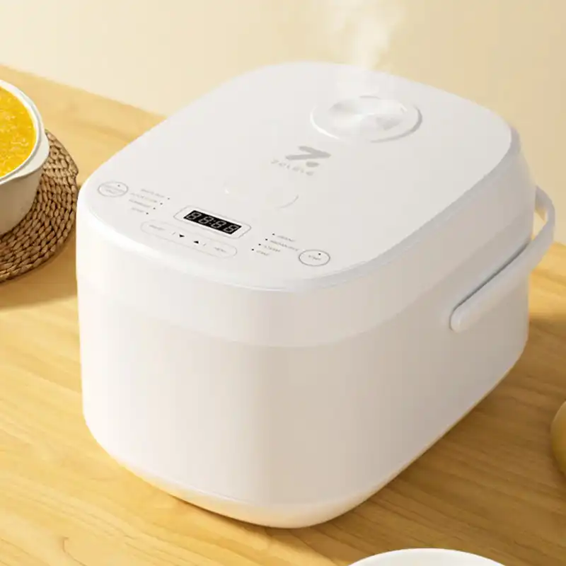 پلوپز زوله‌له مدل 5L ZB600