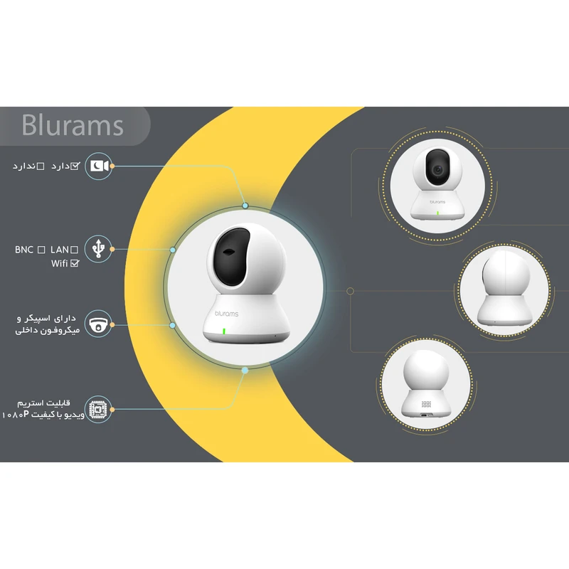 عکس شماره 12 : دوربین تحت شبکه بلورمز مدل a31