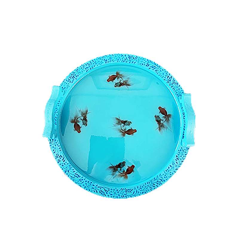  سینی مدل حوض پنج ماهی 