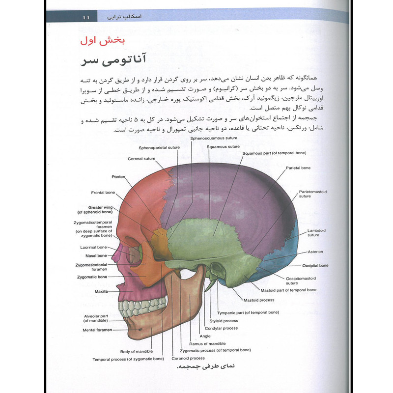 کتاب اسکالپ تراپی طب سوزنی سر اثر وانگ فوچون انتشارات اشراقیه کتاب اسکالپ تراپی طب سوزنی سر اثر وانگ فوچون انتشارات اشراقیه