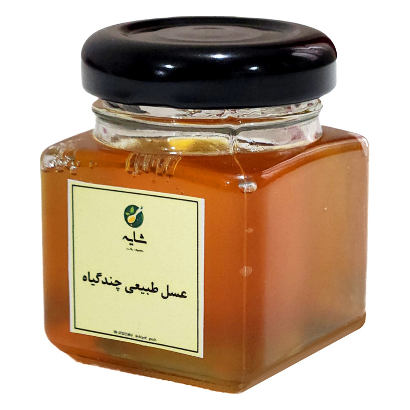 عسل طبیعی چندگیاه شایه - 50 گرم