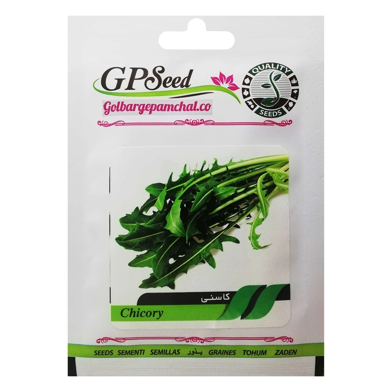 بذر کاسنی گلبرگ پامچال کد GPF-156