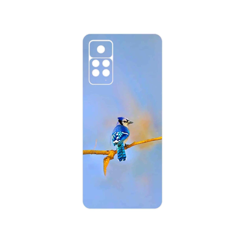 برچسب پوششی ماهوت مدل Cyanocitta cristata مناسب برای گوشی موبایل شیائومی Redmi Note 11 Pro