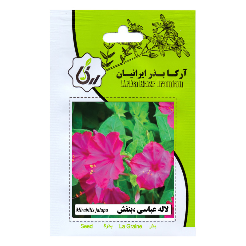 بذر گل لاله عباسی بنفش آرکا بذر ایرانیان کد 171-ARK