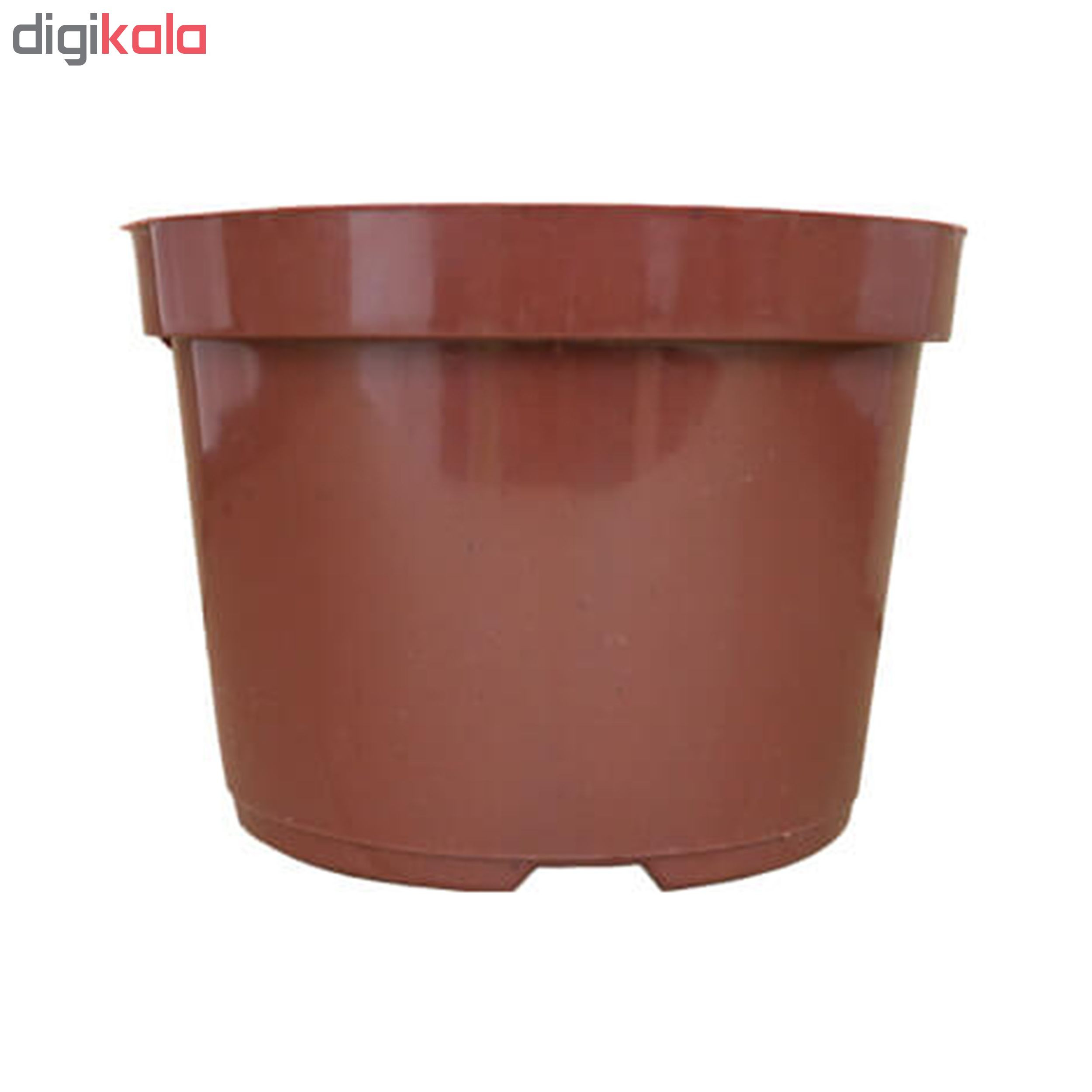 گلدان مدل GS-15 بسته 6 عددی