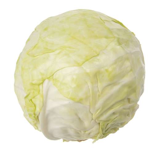 کلم سفید فله یک عددی