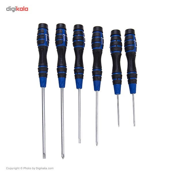 مجموعه پیچ گوشتی ساعتی رینو مدل RPT6035 ست 6 عددی