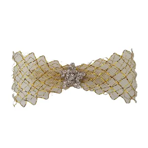 گیره مو زنانه مدل پاپیونی