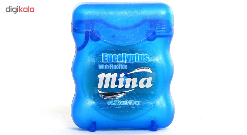 نخ دندان مینا مدل Eucalyptus Narrow بسته 4 عددی