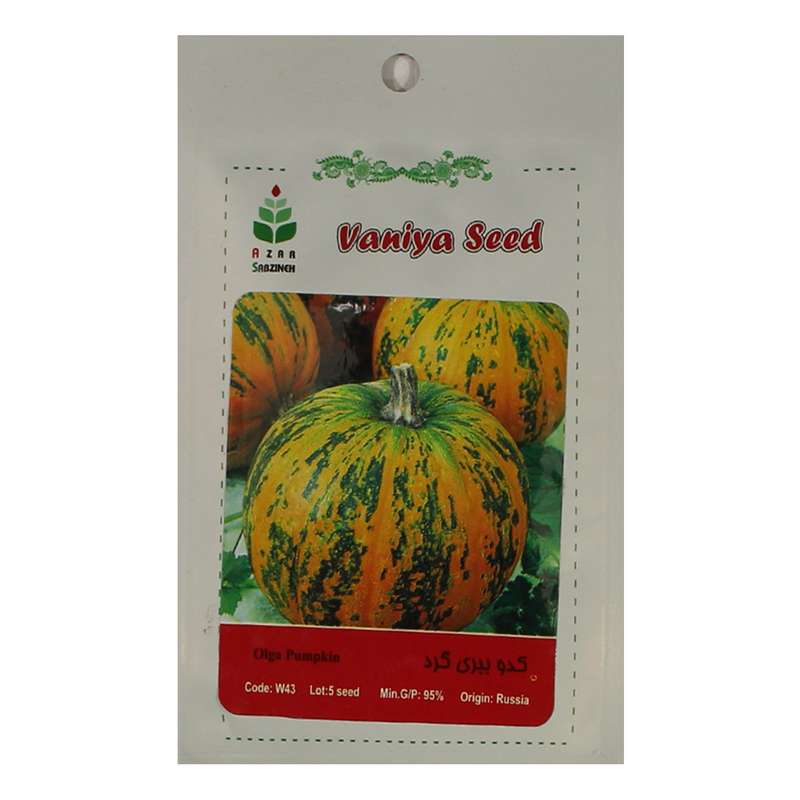 بذر کدو ببری گرد آذر سبزینه مدل A43